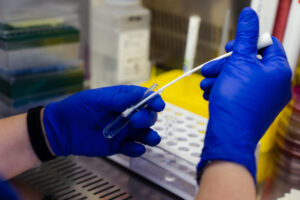 Laboratorio